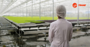 Read more about the article Adding Freshness for Egypt’s Agricultural Produce with Trane Cold Storage Rentals